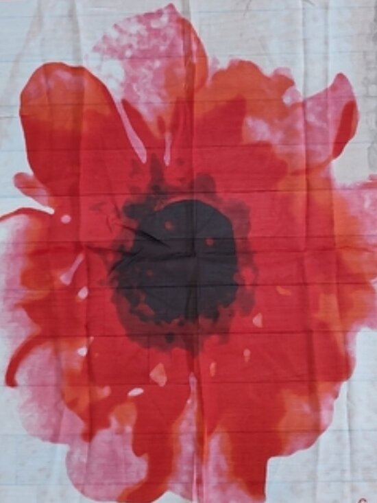 Celine poppy floral silk sheer scarf large EUC - Picture 2 of 7